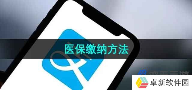 支付宝怎么交医保-医保缴纳方法