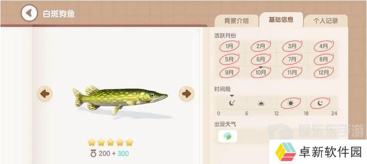 心动小镇手游白斑狗鱼怎么钓 白斑狗钓鱼时间地点分享