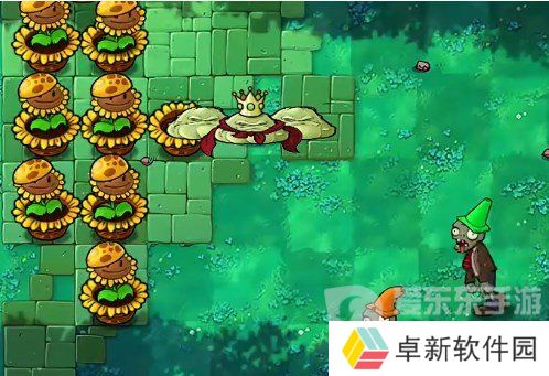 植物大战僵尸杂交版挑战模式第16关怎么过 第16关图文通关流程